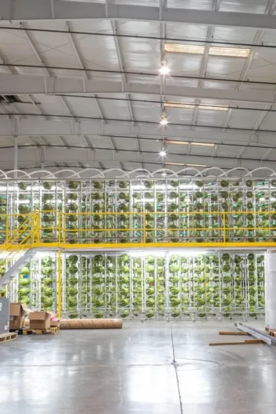 3a146dd4115b89703511f971819253c6_1200_80