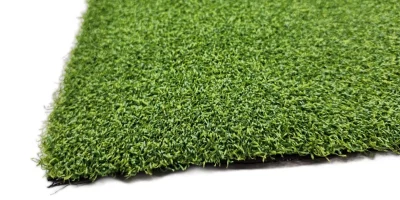 tmp1asr77hh tmp1asr77hh