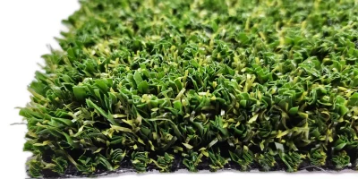 tmp2874ygru tmp2874ygru