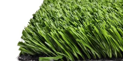 tmp3z_fi4y6 tmp3z_fi4y6