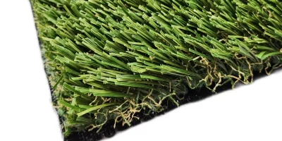 tmp5cxigavh tmp5cxigavh