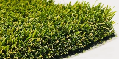 tmp8inmdj2n tmp8inmdj2n