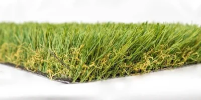 tmpdqylbzwq tmpdqylbzwq