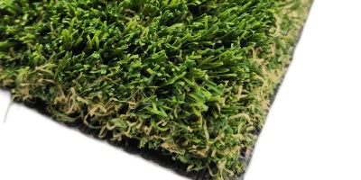 tmpeer8kzao tmpeer8kzao