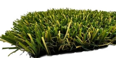 tmpg52ik61t tmpg52ik61t