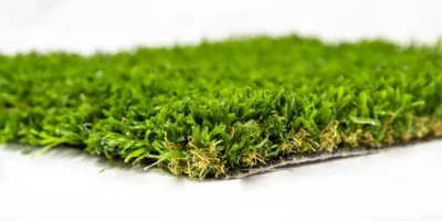 tmpn7jviixv tmpn7jviixv