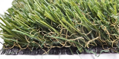 tmpny181t41 tmpny181t41