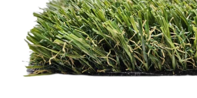 tmprar2mrjn tmprar2mrjn